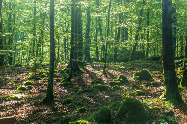 Balance your business’ year with a century of growth - Balance Eco Ltd