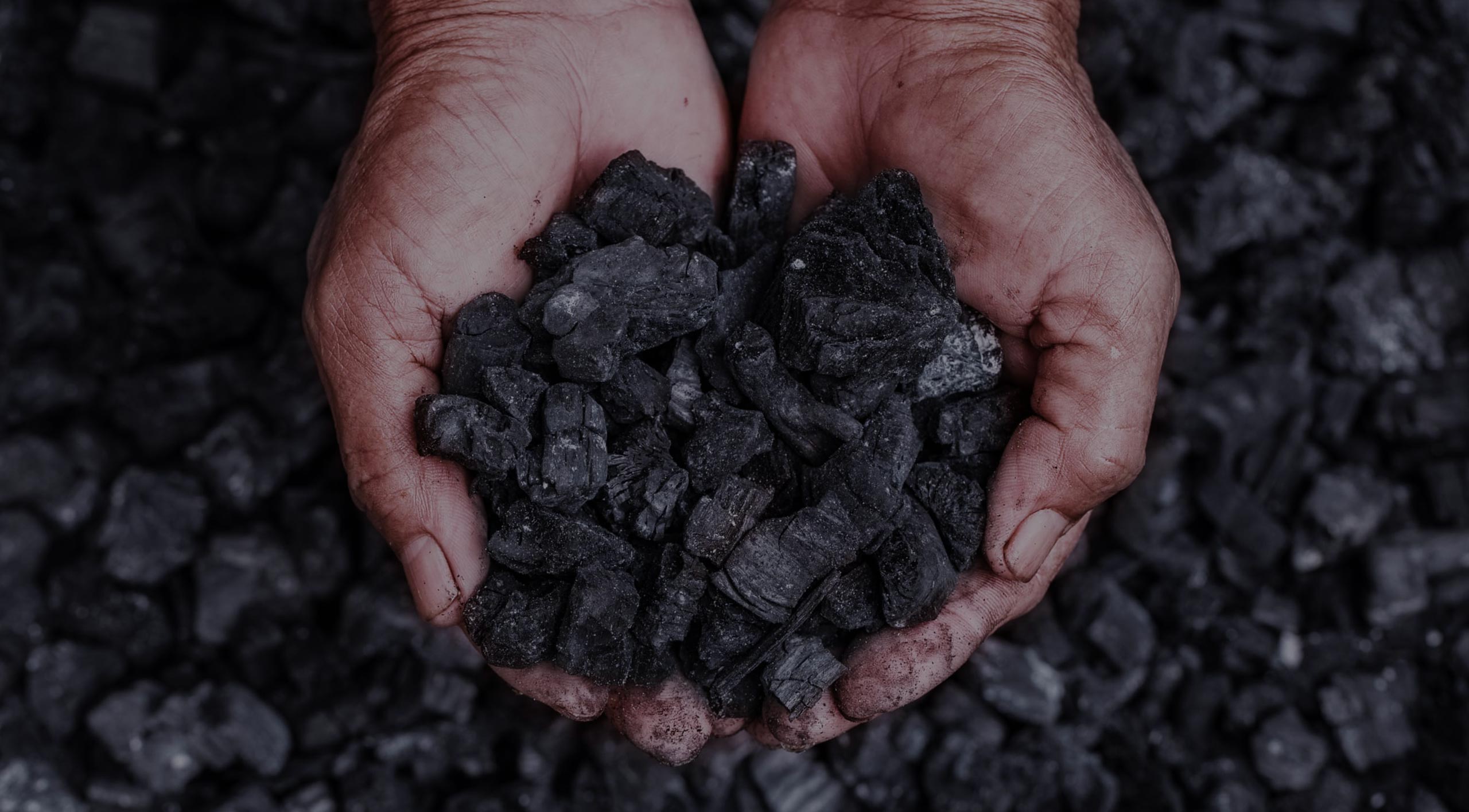 Biochar – Black Gold