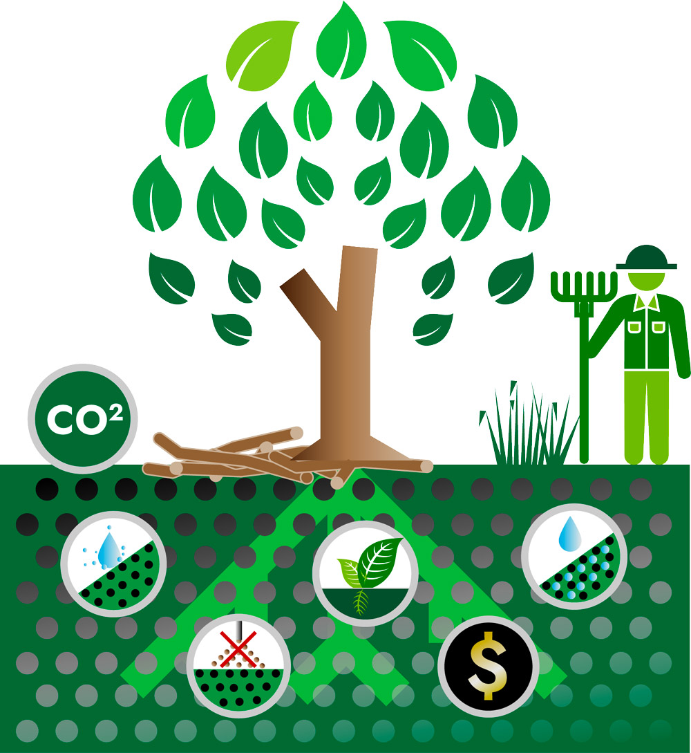 Balance Eco - Production and Use of Biochar - Summary