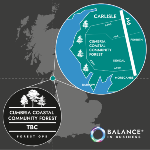 Cumbria Forest | Balance Eco Ltd