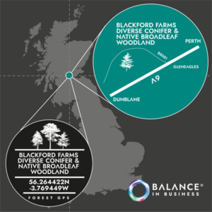 Blackford Forest | Balance Eco Ltd