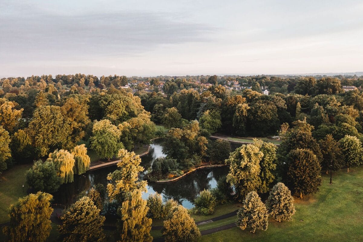 Trees on Tees